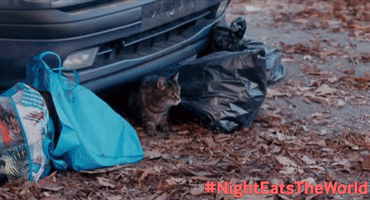 Night Eats The World Movie GIF by Blue Fox Entertainment