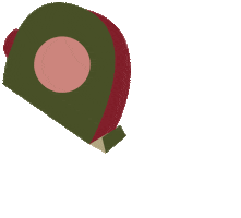 Dpv Sticker