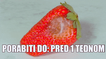 Sustainability GIF