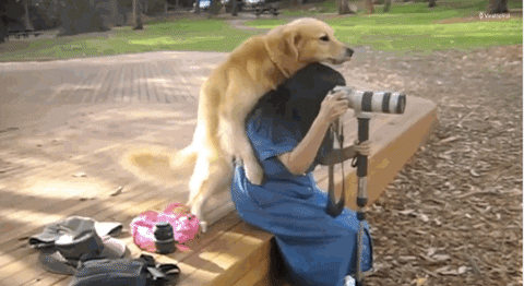 Dog Fuck Girl Meme - Dog sex GIFs - Get the best GIF on GIPHY