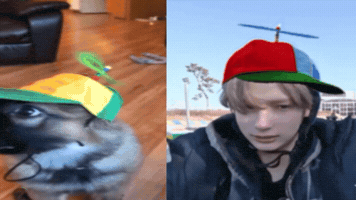 Dog Tomorrow X Together GIF