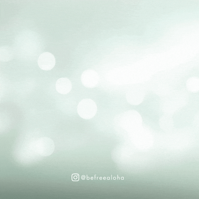 Merry Christmas Presents GIF by Aloha