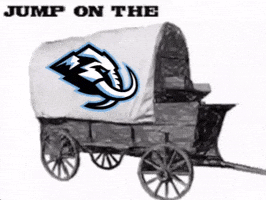 Utah Tusks Up GIF