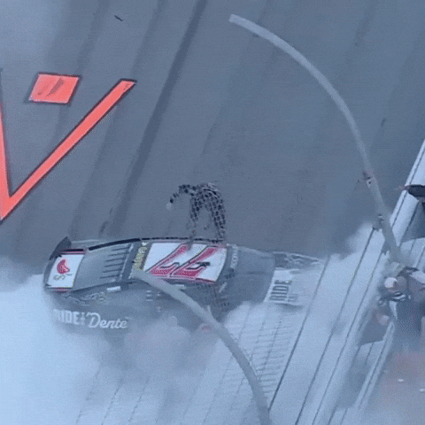 Celebration GIF