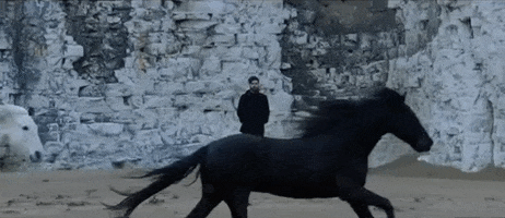 Yannis Philippakis Horses GIF by FOALS