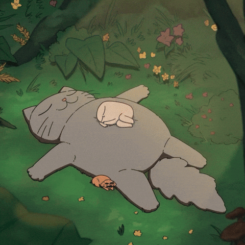 Sleep Sleeping GIF by KETNIPZ