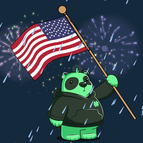 American Celebration GIF by SuperVerse