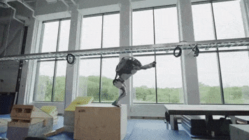 Drunk Boston Dynamics GIF by Lion Beach