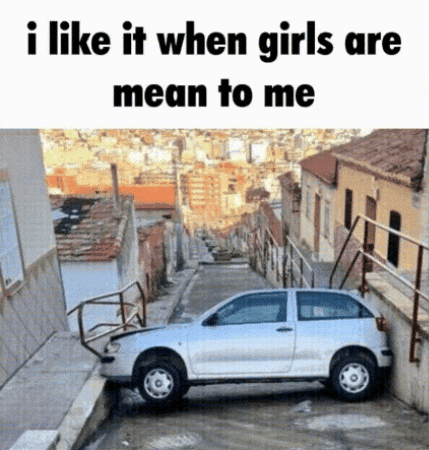 Car Niche GIF