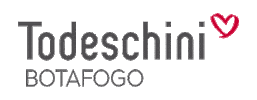 Todeschini Botafogo Sticker