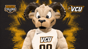 College Sports Muscle GIF by College Colors Day