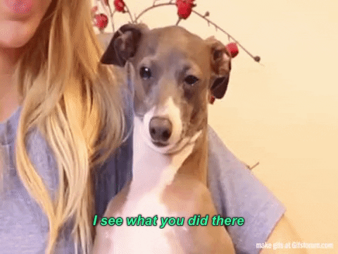 giphy.gif?cid=790b76115d1bc7b6732f544c59