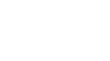 New Orleans Sticker by Zehnder