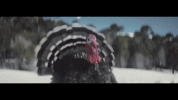 angry war GIF by ADWEEK