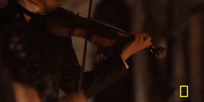 200.gif?cid=fc005b08d0642a79246d6b05cf35b4d04b9f209dcee6a8c9&rid=200.gif&ct=g