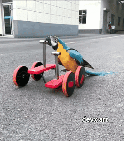 Bird Playing GIF by DevX Art