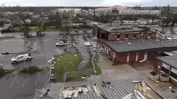 Michael Hurricane GIF by euronews