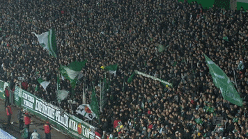 bundesliga flags GIF by SV Werder Bremen