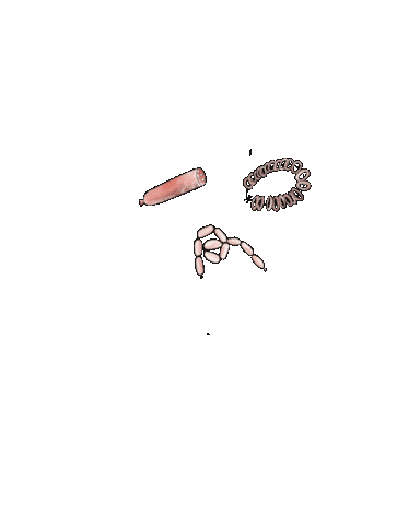 Kielbasa Sticker