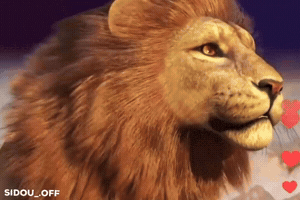 Tiktok GIF