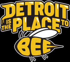 DetroitHives bee detroit bees nonprofit GIF