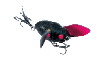 Ripple Cicada Sticker by Chasebaits