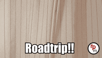 Rock'n'popmuseum (NL) GIF