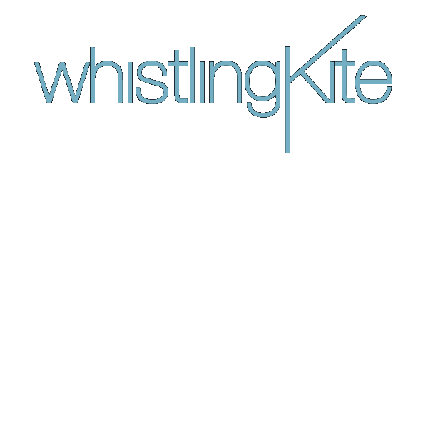 Drinks Kite Sticker by WhistlingKite