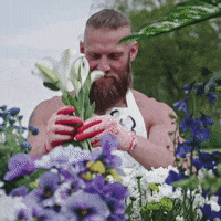 200.gif?cid=fc005b08d0369704138ce1fea10b30c444ef86691a4dbd2b&rid=200.gif&ct=g