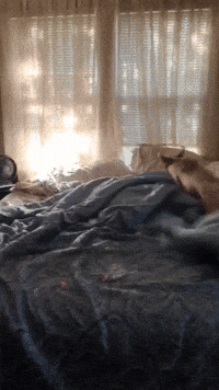 Happy So Excited GIF by Maryanne Chisholm - MCArtist Happy So Excited GIF by Maryanne Chisholm - MCArtist