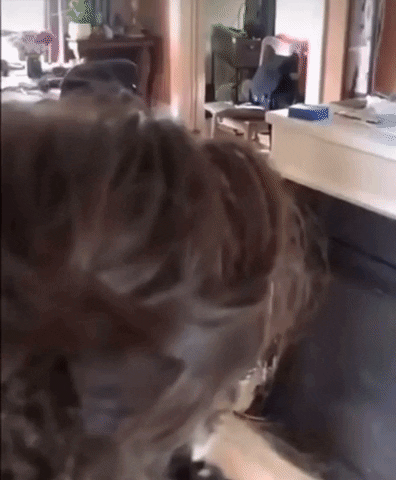 giphy.gif?cid=2154d3d7a4ed716518407c7d6ea9d7add9898e27e1a48fc7&ep=v1_gifs_username_username&rid=giphy.gif&ct=g