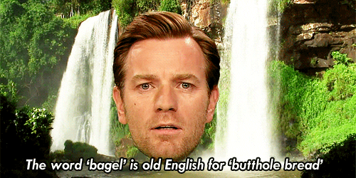 Image result for bagel gif
