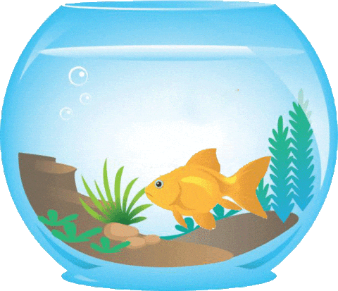Fish Aquarium Live Wallpaper APK for Android Download