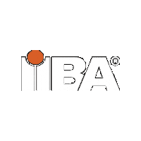 IIBA Sticker