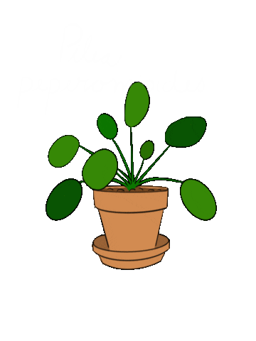 Plant Sticker