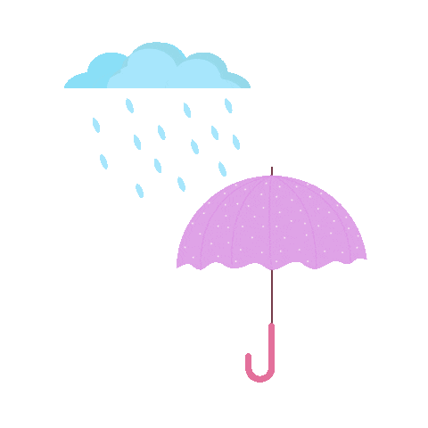 Rain Sticker