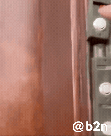 Oak Tree Christmas GIF