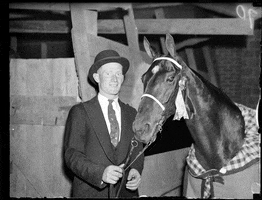 Horse Smile GIF by Archives of Ontario | Archives publiques de l'Ontario