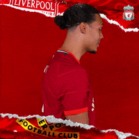 That Will Do No Problem GIF by Liverpool FC
