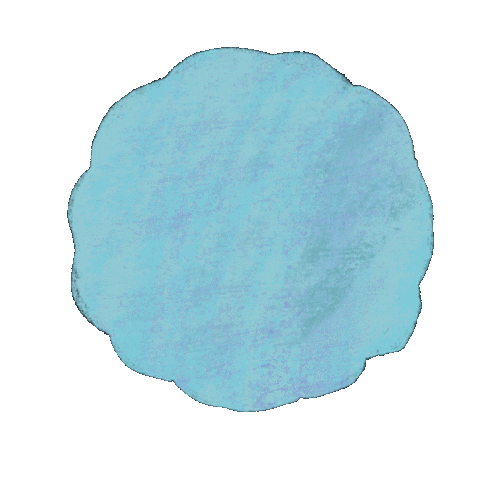 Color Circle Sticker