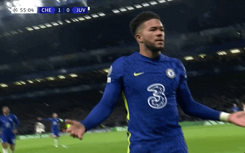 giphy.gif