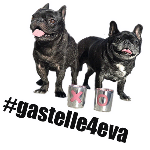 Whiskey & Woof Sticker