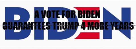 Biden Equals Trump Vote GIF