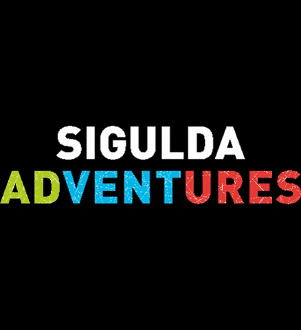 Adventure Flying GIF by Aerodium