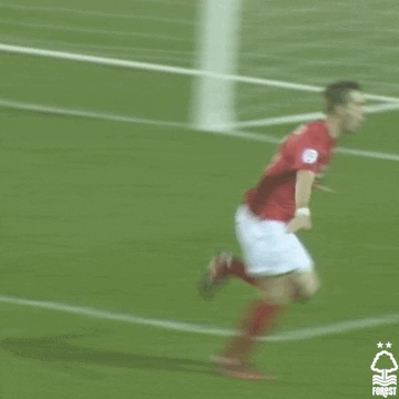 Football Championship GIF by Nottingham Forest