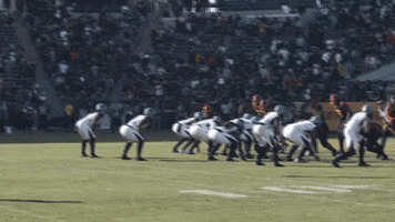 Football Ghost GIF by Los Angeles Wildcats
