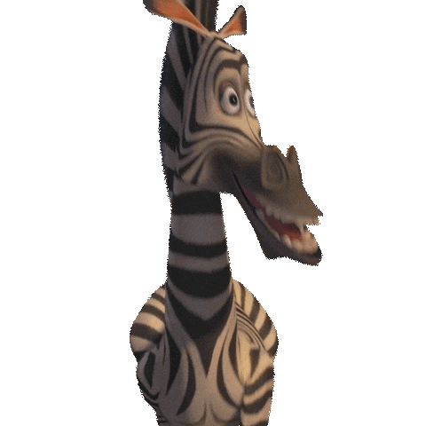 zebra of madagascar