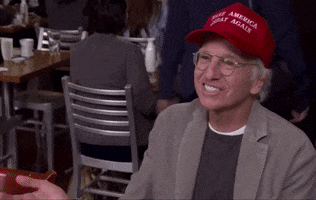 Maga Larrydavid GIF