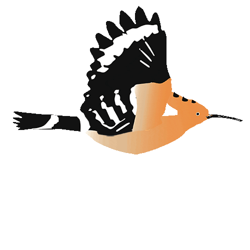esem Sticker
