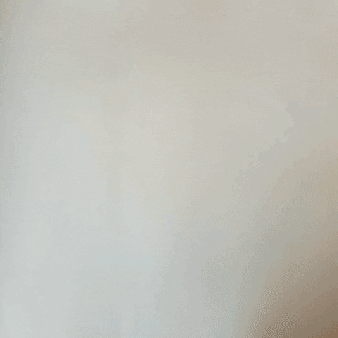 Menstruation GIF